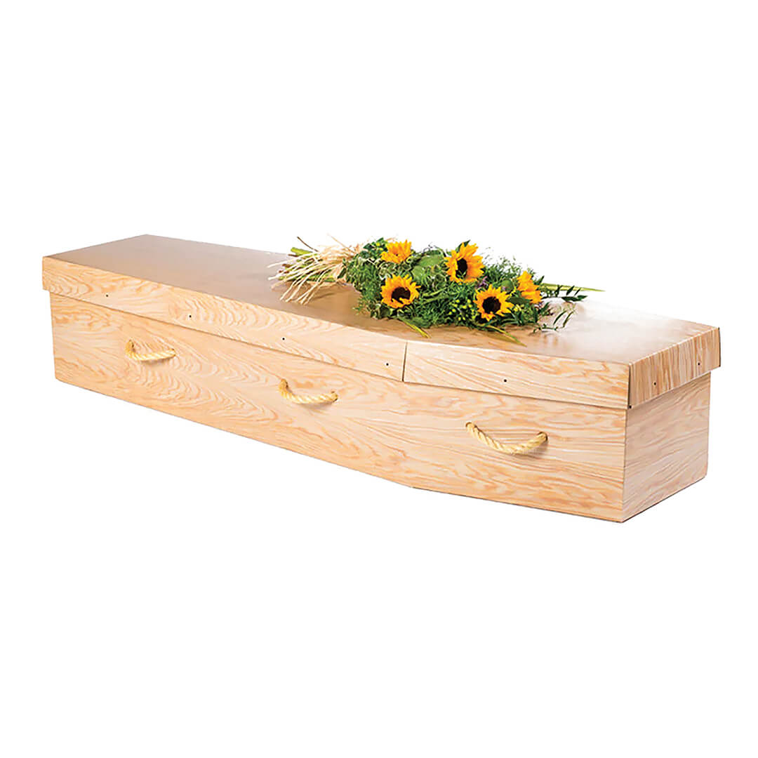 The Cardboard Coffin